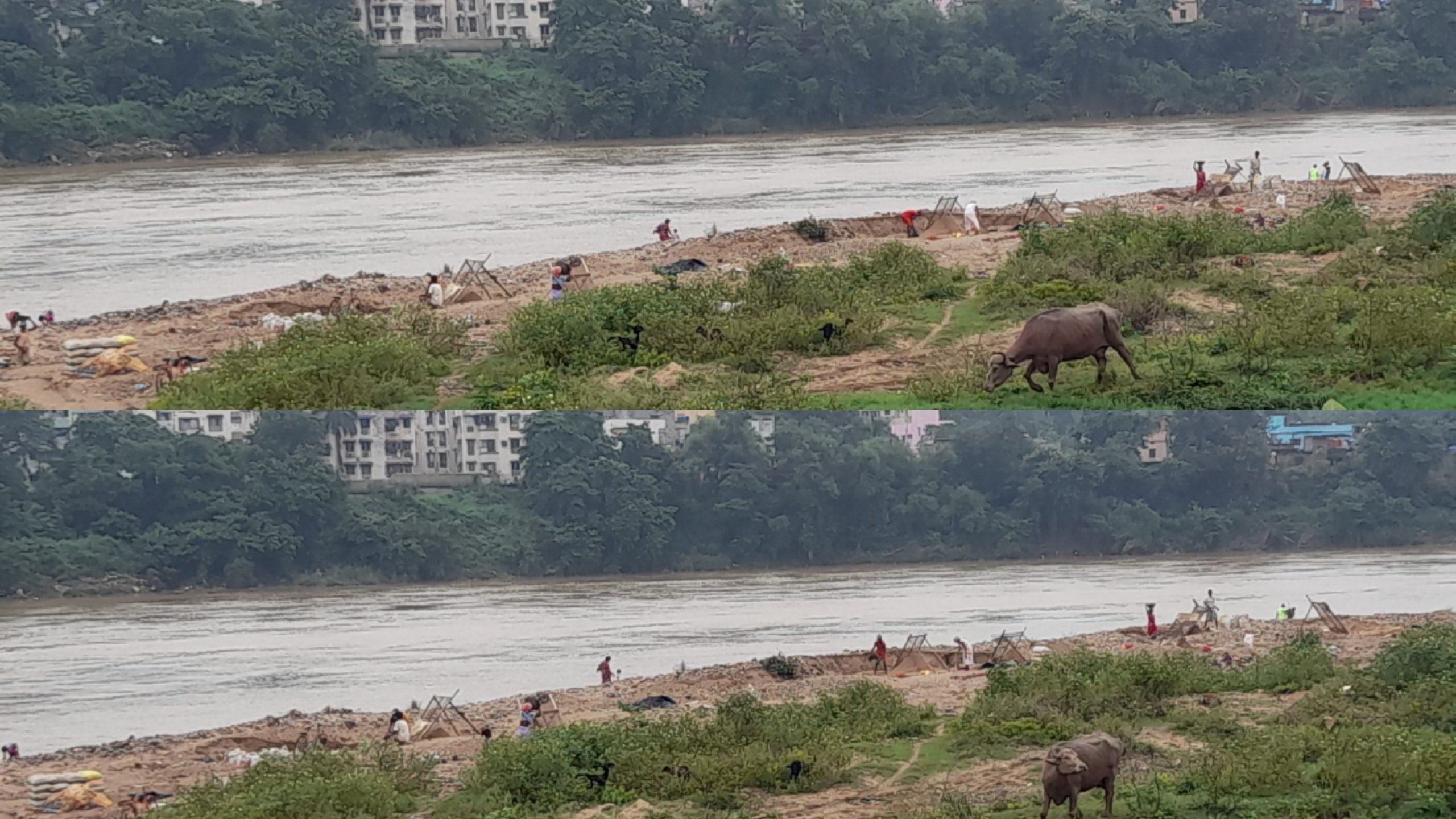 नदी किनारे अवैध बालू उठाव कार्य में लगे मजदूर