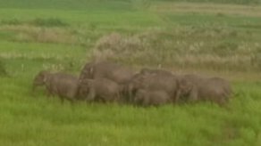 कॉन्सेप्ट इमेज