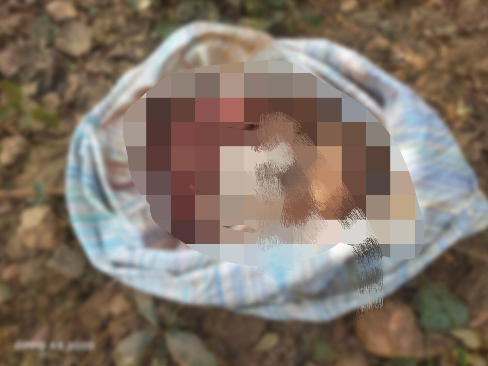 पश्चिमी सिंहभूम: गोइलकेरा में सनसनी, वृद्ध की गला काटकर निर्मम हत्या, बोरे में मिला धड़ 1765948976878_1004342831