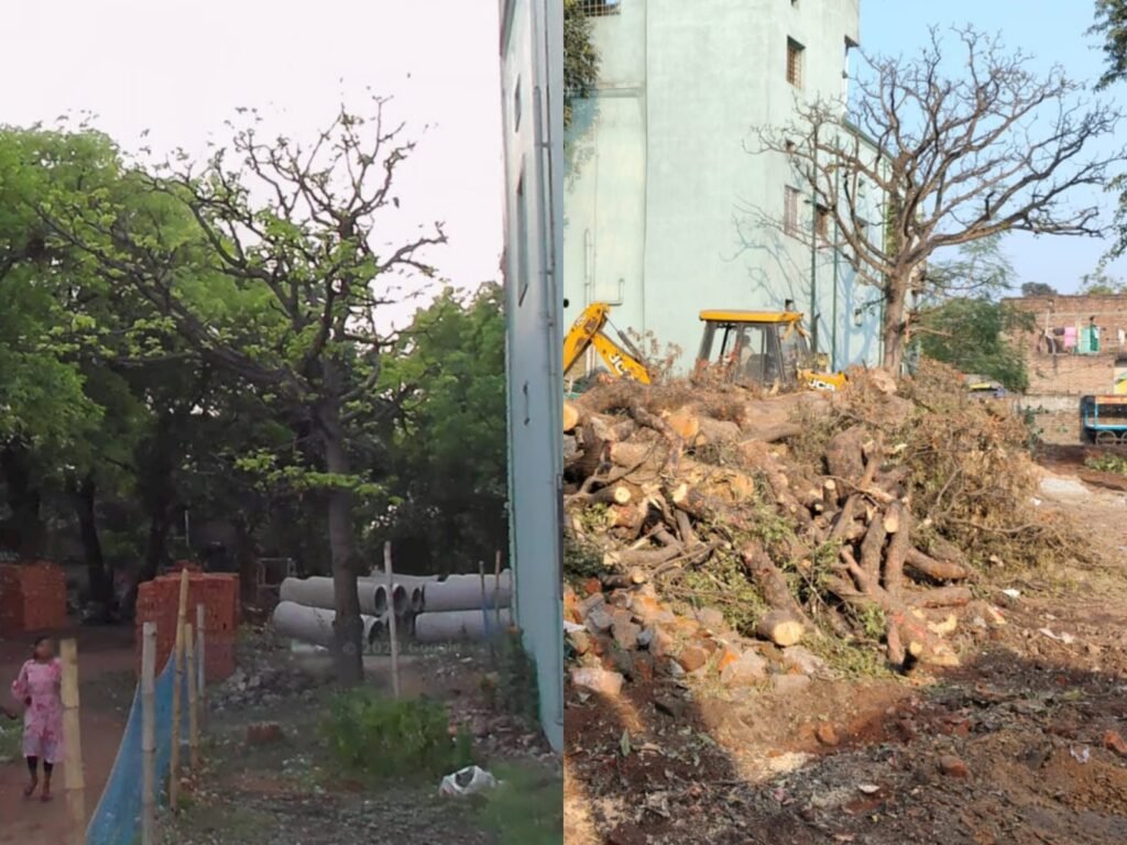 2090ad4e 1dea 4029 863b e85be47a66c7