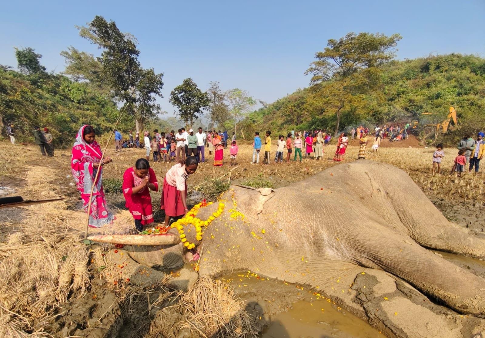 45074479 568d 49b9 94e7 460fa6464e9a