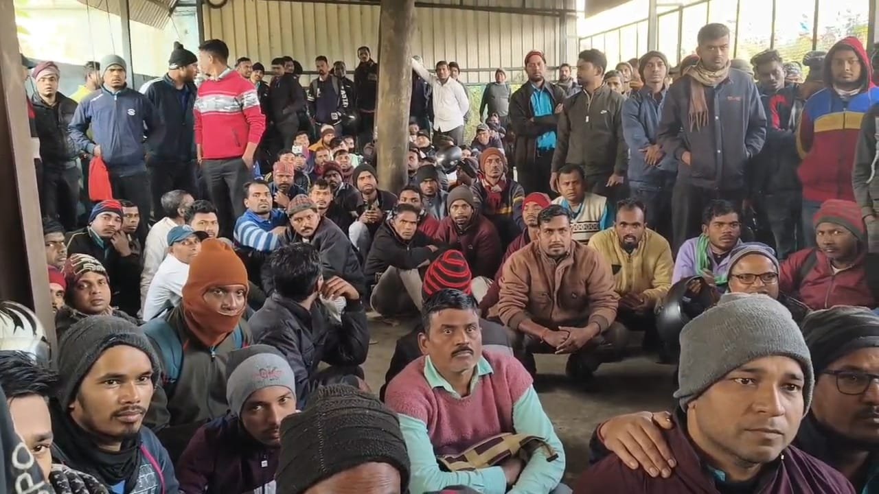 54e0a865 7049 43ba b995 23e5d7949260