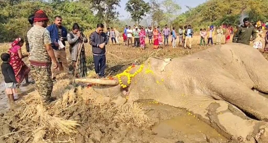 73500e68 a859 4361 a366 4a2d66f6efa1