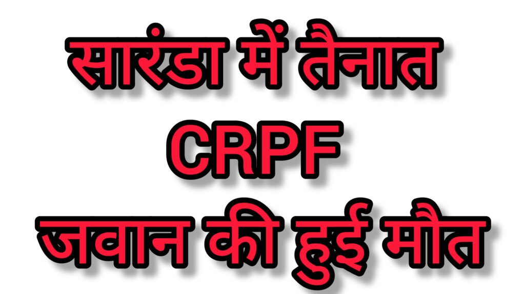 InShot 20251201 162902781