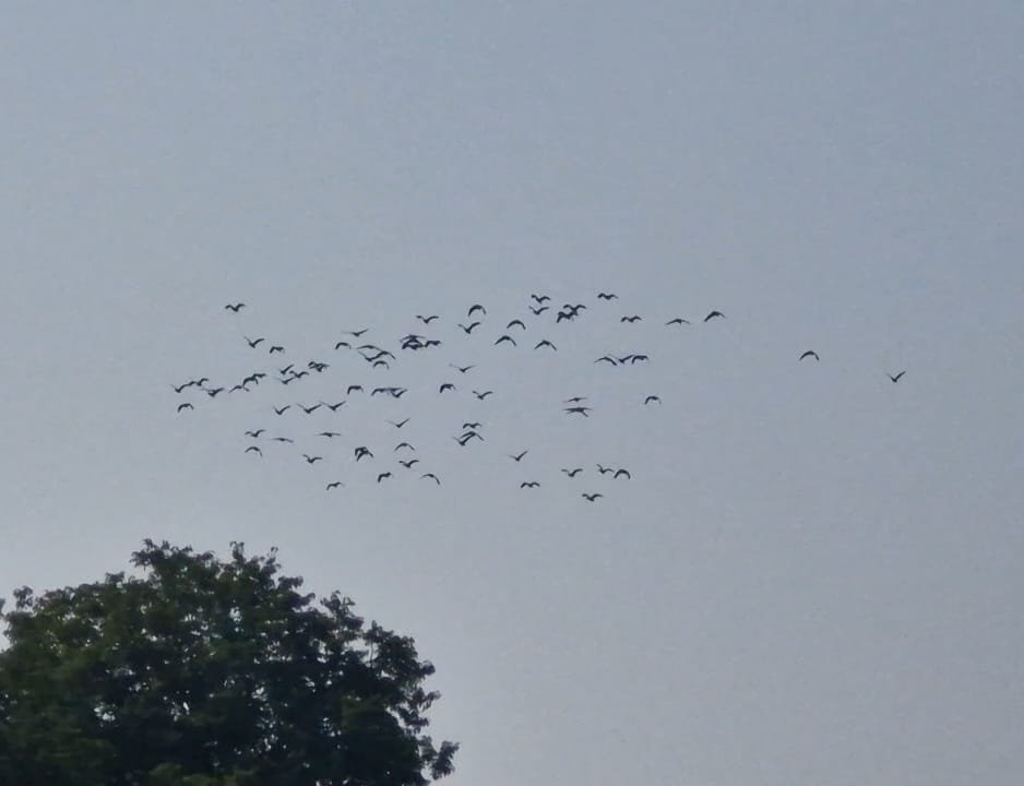 a6938916 b9e1 46d2 a3cc 2f6a47e30bad