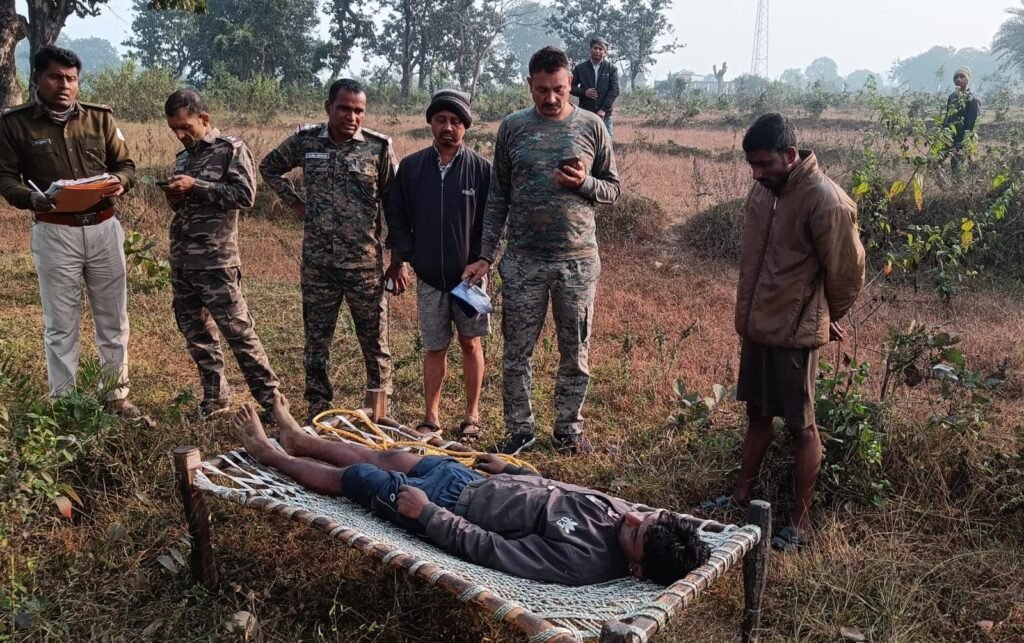 d9533d80 8c1c 49a6 843e 125500430cf2