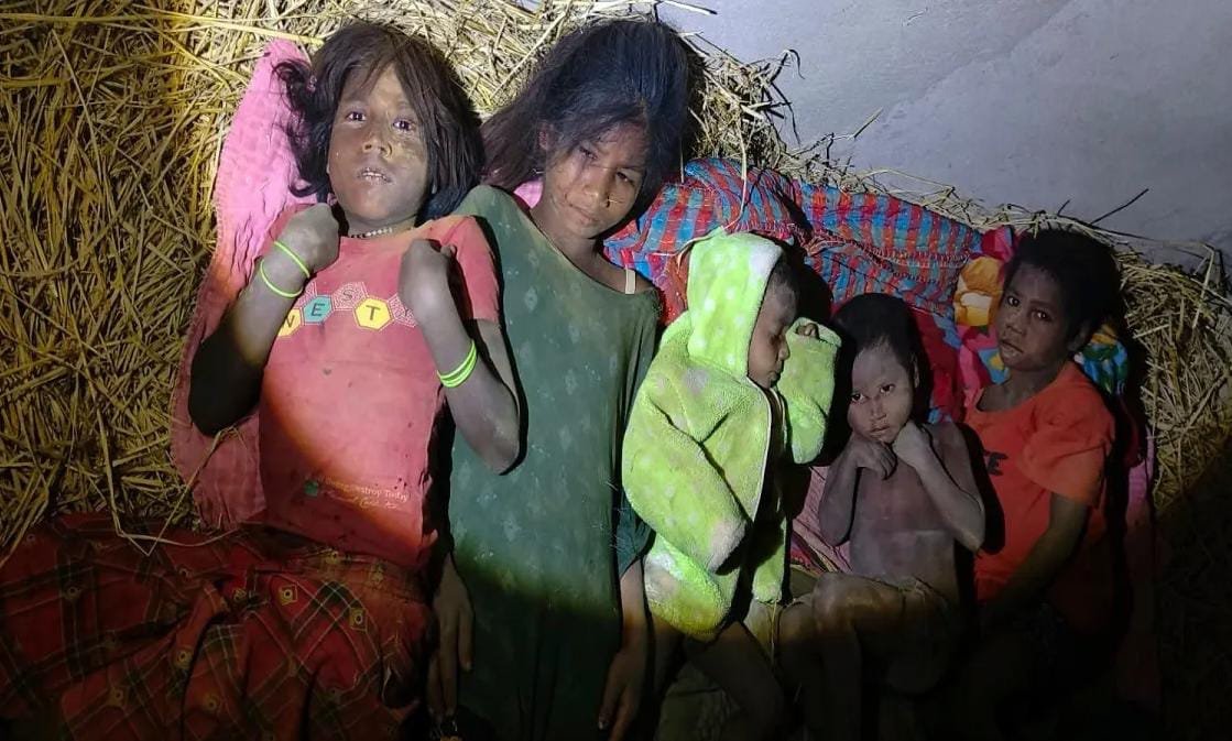 हाथी का तांडव