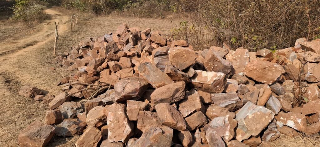 DMFT : कार्य में जंगल के ही पत्थर का हो रहा इस्तेमाल