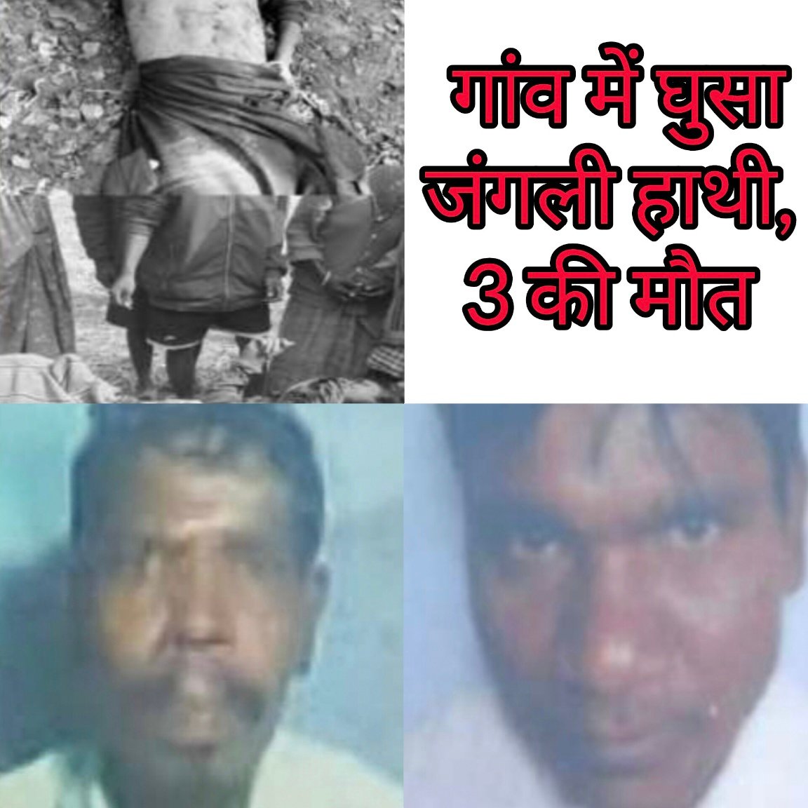 गांव में घुसा जंगली हाथी, 3 की मौत