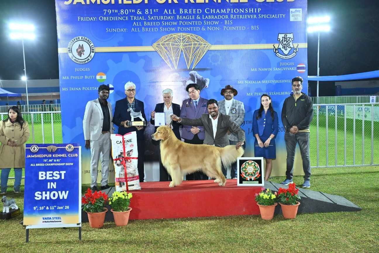 Judges evaluating dogs during JKC All-Breeds Championship Dog Show 2026 in Jamshedpur