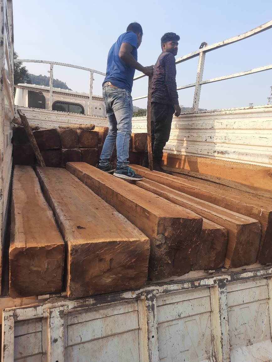 सारंडा अवैध लकड़ी तस्करी में जब्त शिलपट लकड़ियां