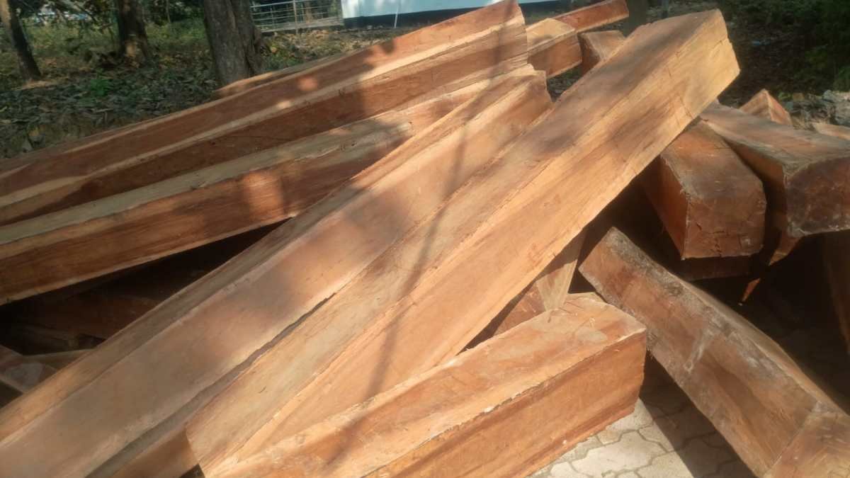 वन विभाग ने जब्त किए लकड़ी