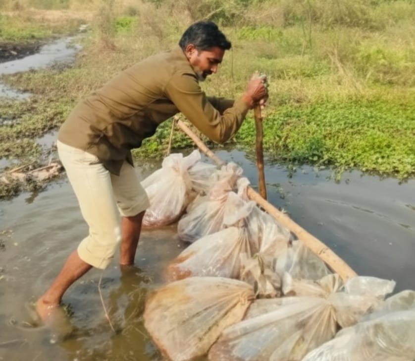 अवैध शराब
