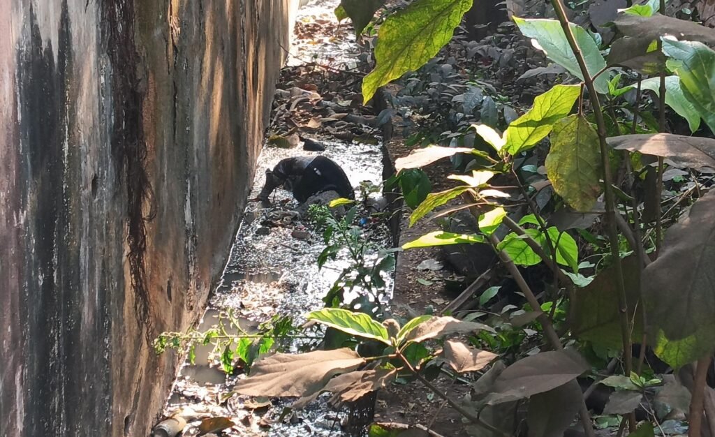 रेलवे यार्ड