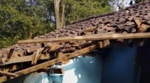 हाथी का तांडव