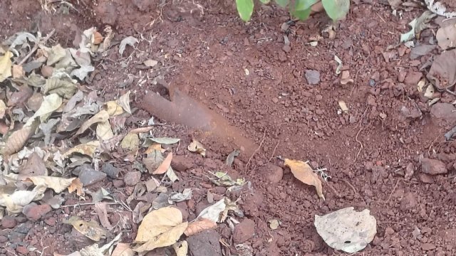 बरामद आईईडी