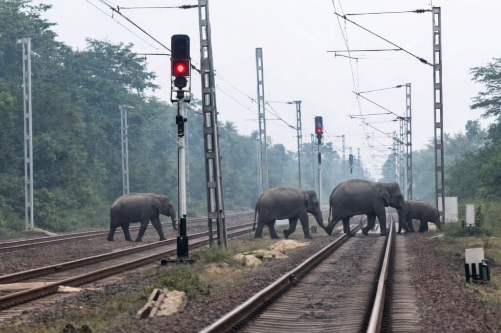 तालाबुरू