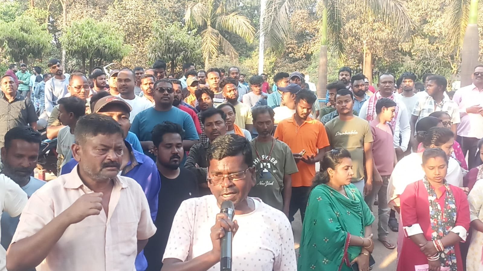 गुवा सेल