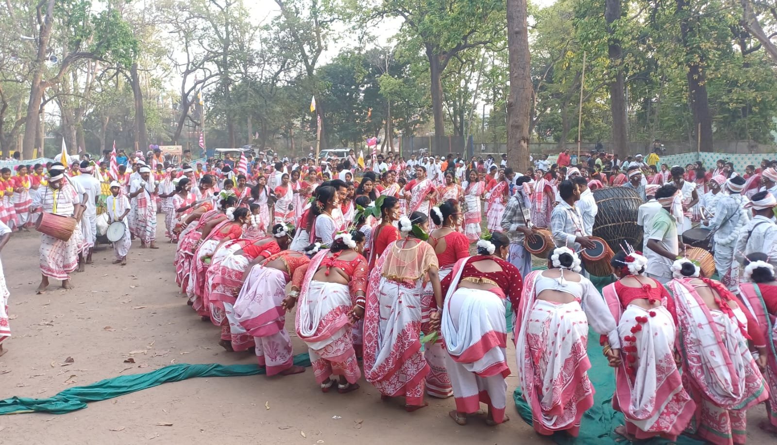 सरहुल महोत्सव