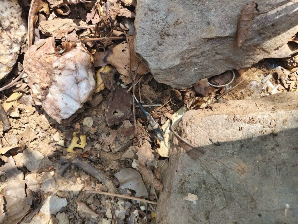 IED , आईईडी