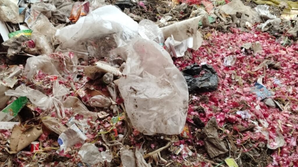 नगर परिषद