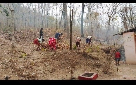 मां वन देवी मंदिर