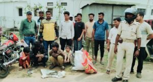 चाईबासा डेंडराइट गैंग