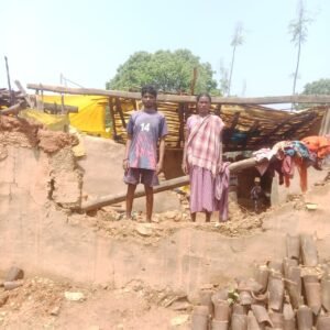 टोंटो हाथी उत्पात