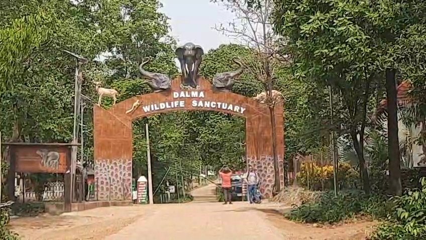 सेंदरा पर्व