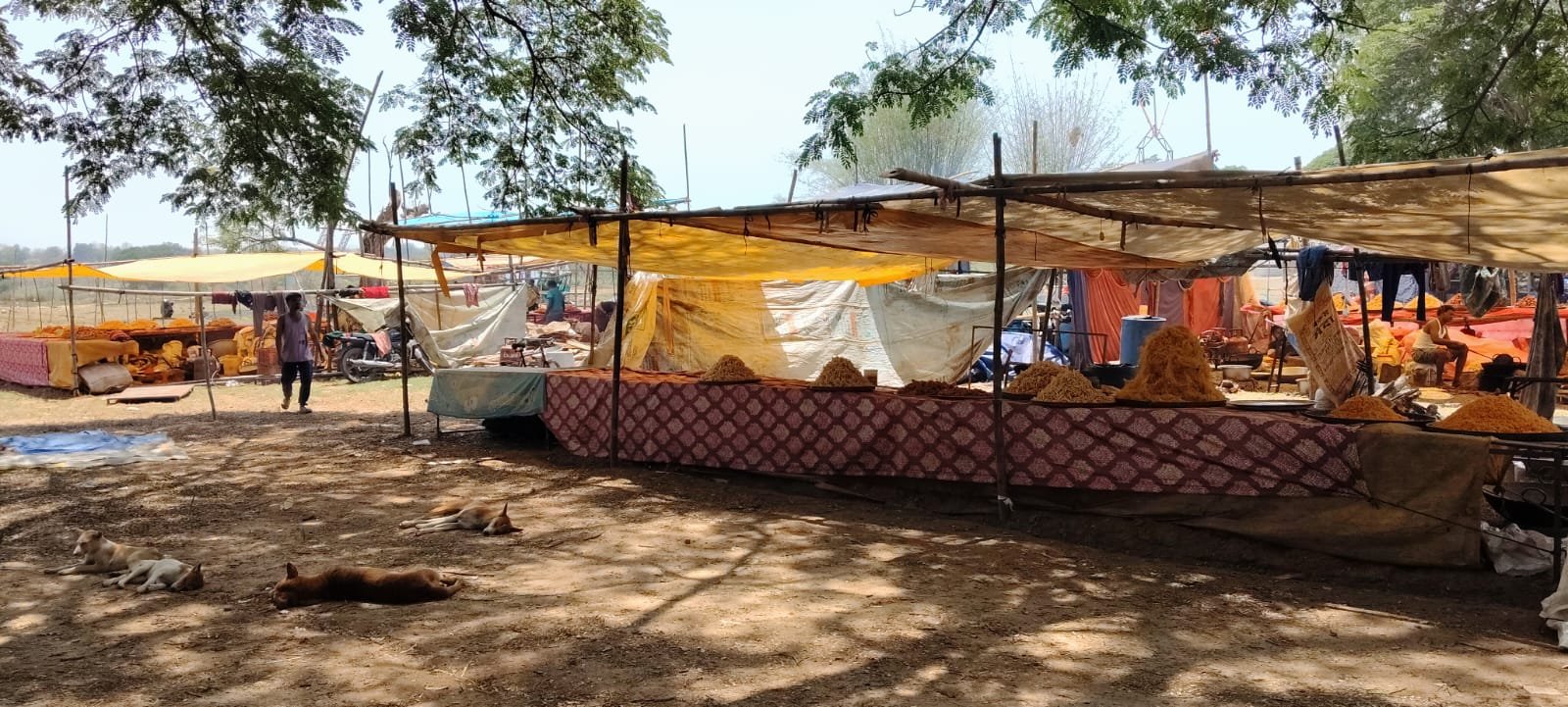 चिटीमिटी चैत्र मेला चाईबासा