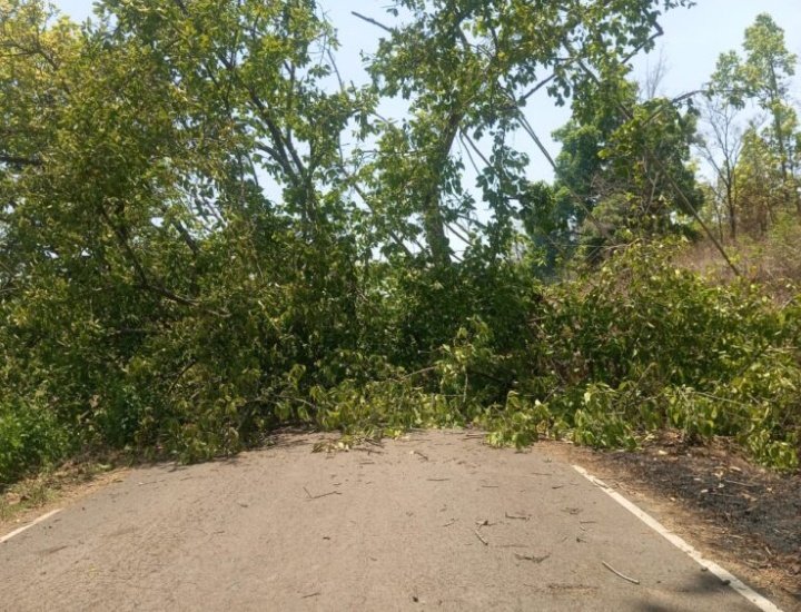 सारंडा जंगल सड़क बाधित