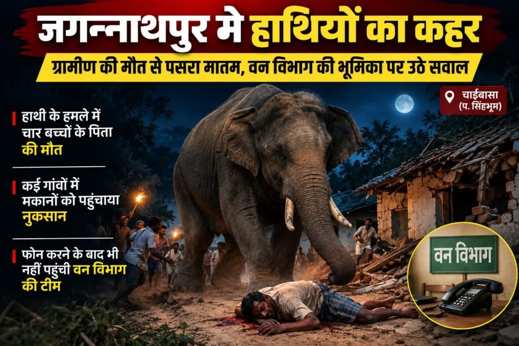 जगन्नाथपुर हाथी हमला