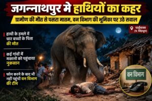 जगन्नाथपुर हाथी हमला