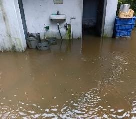 चाईबासा में लगातार बारिश के बाद निचले इलाकों में जलजमाव की स्थिति।