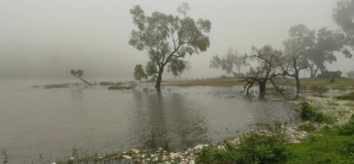 बड़ाजामदा बारिश
